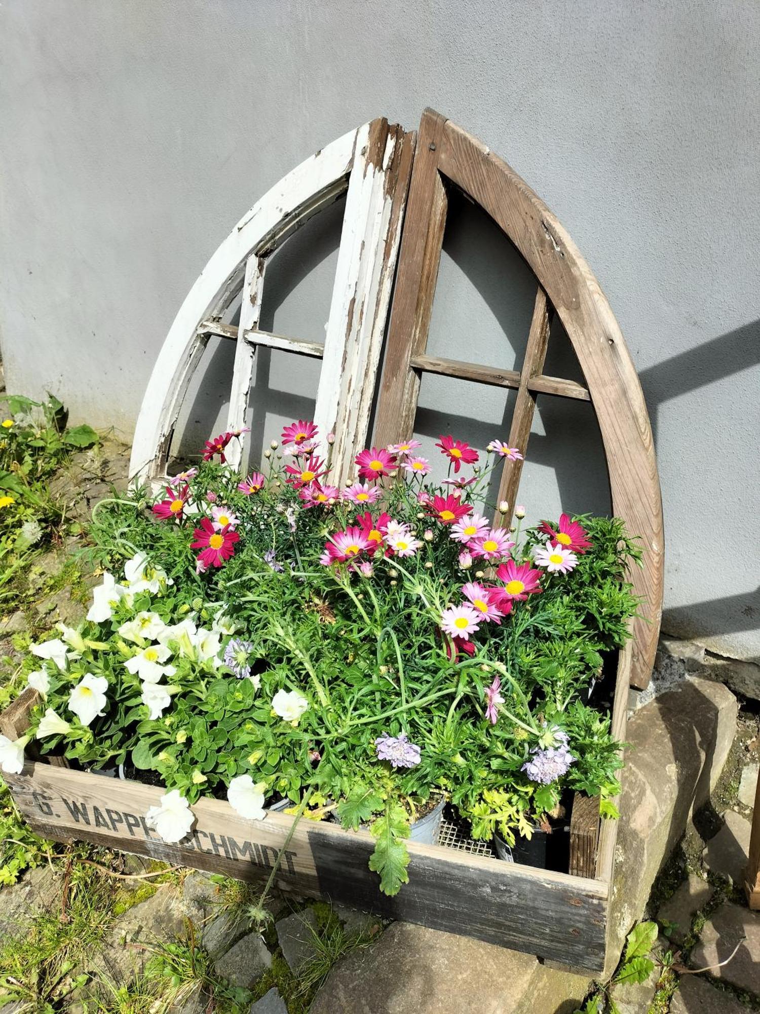 Apartment Am Schloßberg